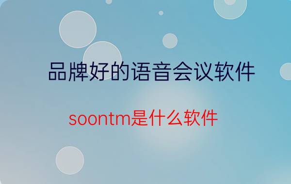 品牌好的语音会议软件 soontm是什么软件？